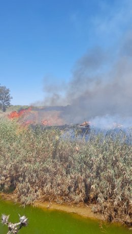 Imagen del incendio declarado este martes en un paraje de Trigueros (Huelva).