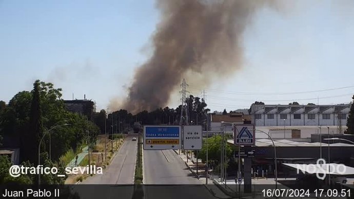 Imagen de la "importante columna de humo" provocada por el incendio de pastos en las inmediaciones del Puente del Centenario.