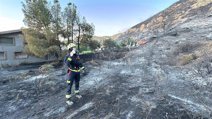 Controlado un incendio forestal en San Martín de la Vega