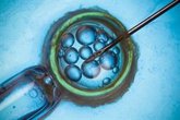 Foto: El estatus socioeconómico, clave en el resultado de los tratamientos de fertilidad