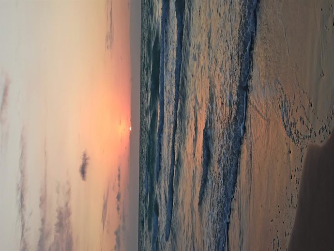 Clarejar a Canet d'en Berenguer (València)