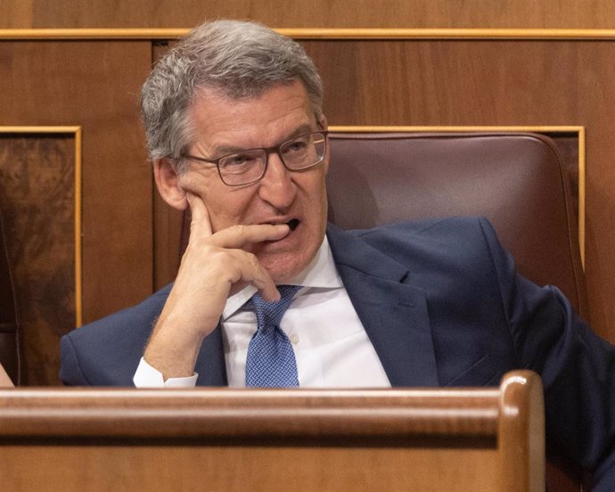 El presidente del Partido Popular, Alberto Núñez Feijóo, durante una sesión extraordinaria en el Congreso de los Diputados, a 17 de julio de 2024, en Madrid (España). Pedro Sánchez presenta hoy las líneas fundamentales del Plan de Acción por la Democracia