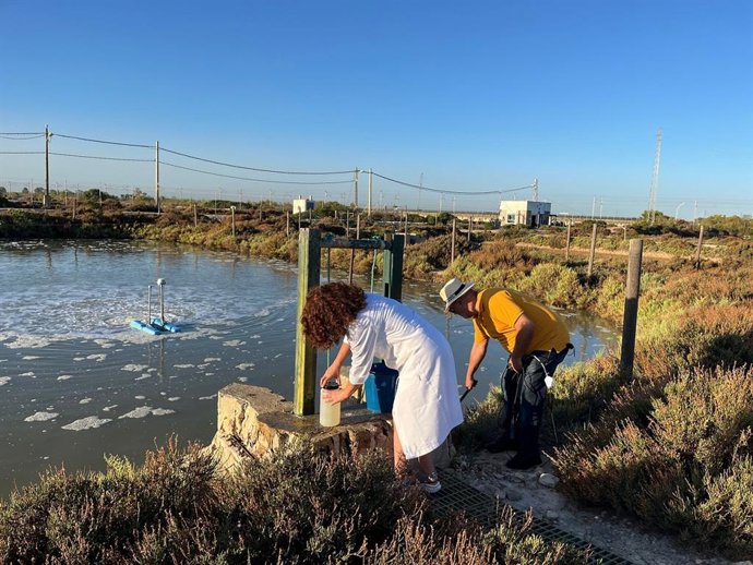 Técnicos de Ifapa en la Bahía de Cádiz.