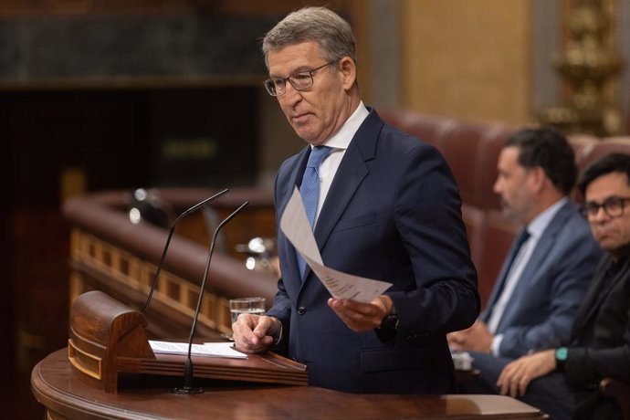 El presidente del Partido Popular, Alberto Núñez Feijóo, interviene durante una sesión extraordinaria en el Congreso de los Diputados, a 17 de julio de 2024, en Madrid (España). Pedro Sánchez presenta hoy las líneas fundamentales del Plan de Acción por la