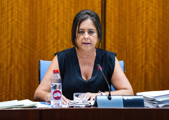 La consejera de Salud y Consumo de la Junta, Catalina García, en la comisión parlamentaria del 17 de julio de 2024.