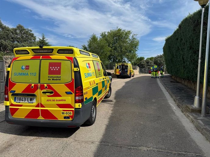 Herido grave un hombre tras morderle una víbora en su casa de Valdemorillo