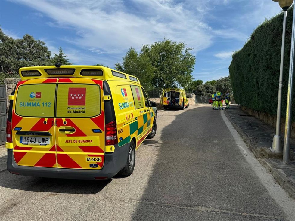Herido grave un hombre tras morderle una víbora en su casa de Valdemorillo