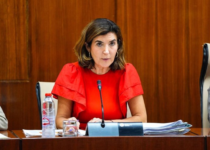 La consejera de Empleo, Rocío Blanco, en la comisión parlamentaria del 17 de julio de 2024.