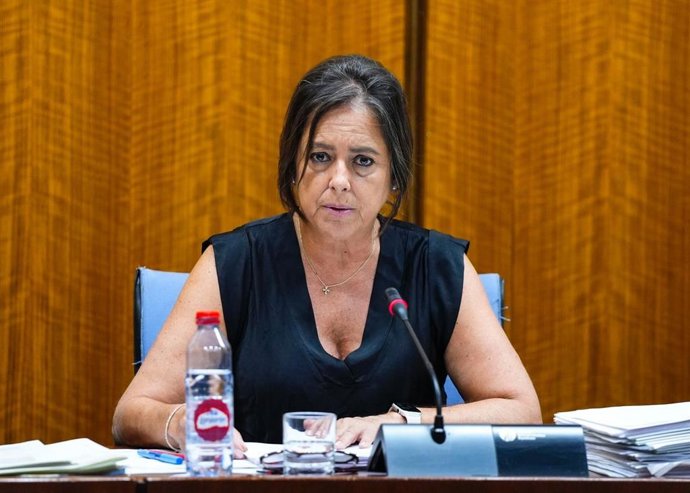 La consejera de Salud y Consumo, Catalina García, en la comisión parlamentaria del 17 de julio de 2024.