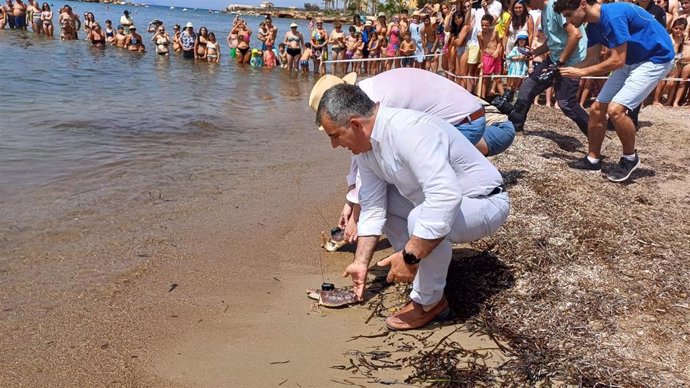 El consejero de Medio Ambiente, Universidades, Investigación y Mar Menor, Juan María Vázquez, libera un total de 20 ejemplares de tortuga boba en Isla Plana.