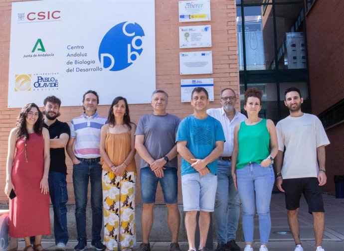 Equipo de científicos de la Pablo de Olavide de sevilla que han identificado nuevas variantes génicas para abordar el tratatamiento de enfermedades mitocondriales.