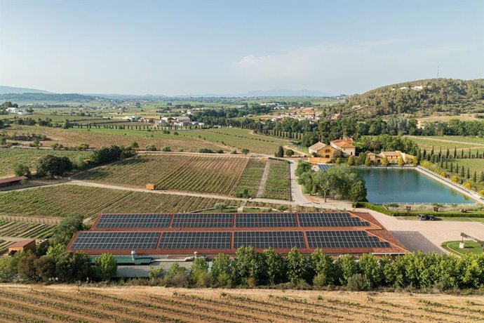 Archivo - El celler de Familia Torres a Pacs del Penedès (Barcelona)