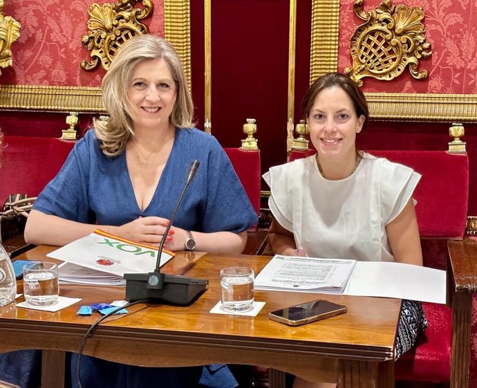 Archivo - Concejales de Vox en el Ayuntamiento de Granada.