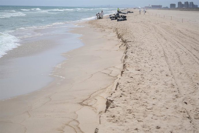 Sacos de residuos en  las labores de limpieza en la playa del Saler por el vertido
