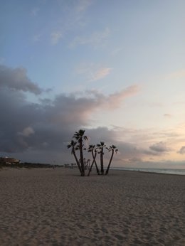 Clarejar a Canet (València)
