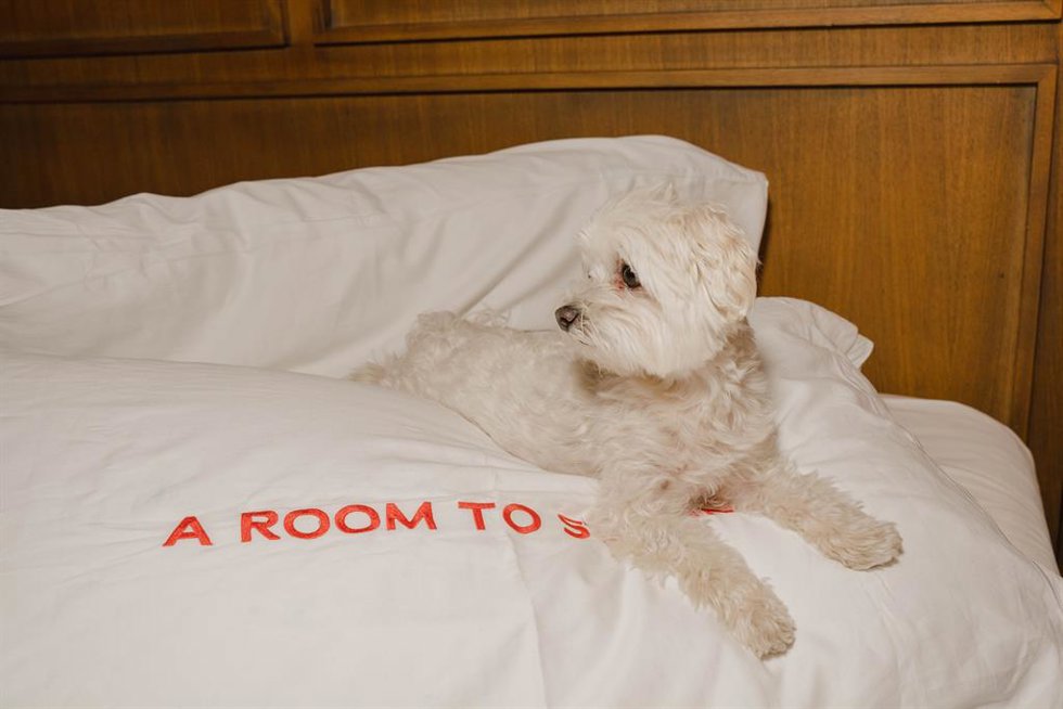 Room Mate Hotels ahora es 'Dog Friendly'