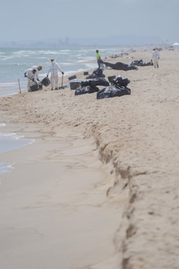 Bolsas de basura durante las labores de limpieza en la playa del Saler por el vertido