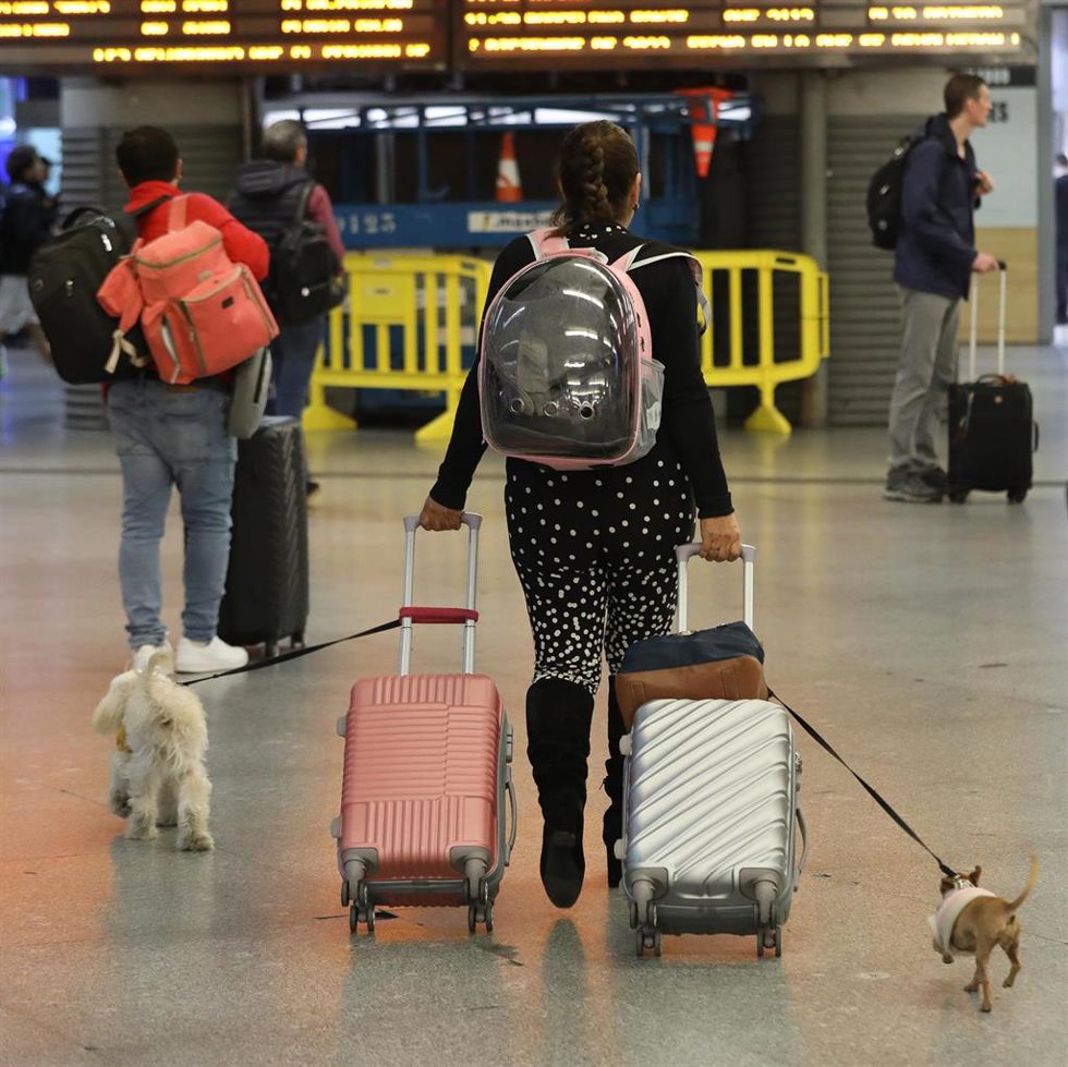 Archivo - Una mujer con dos maletas y sus dos perros en la estación de Puerta de Atocha