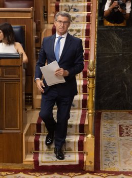 El presidente del Partido Popular, Alberto Núñez Feijóo, durante una sesión extraordinaria en el Congreso de los Diputados, a 17 de julio de 2024, en Madrid (España). Pedro Sánchez presenta hoy las líneas fundamentales del Plan de Acción por la Democracia