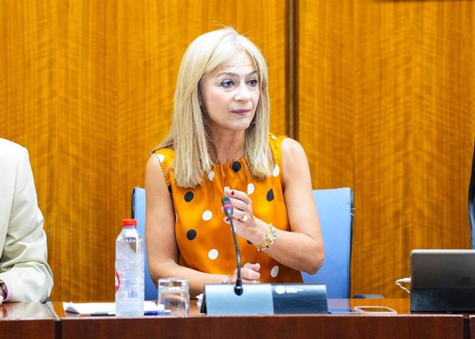 La consejera de Desarrollo Educativo de la Junta, Patricia del Pozo, en la comisión parlamentaria del 18 de julio de 2024.
