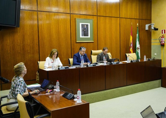 Comparecencia del consejero de la Presidencia, Interior, Diálogo Social y Simplificación Administrativa, Antonio Sanz, en comisión parlamentaria.