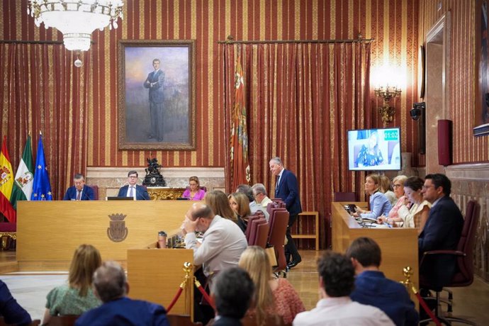 El pleno de Sevilla aprueba las mociones de PSOE y Vox para adoptar medidas por los cortes de luz y los enganches ilegales.