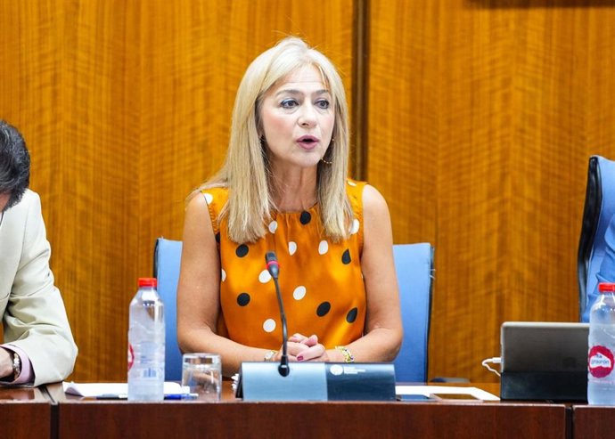 La consejera de Desarrollo Educativo y Formación Profesional de la Junta, Patricia del Pozo, en la comisión parlamentaria del 18 de julio de 2024.
