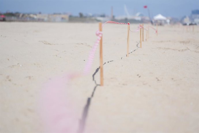 Zona acordonada durant les labors de neteja a la platja del Saler (arxiu)