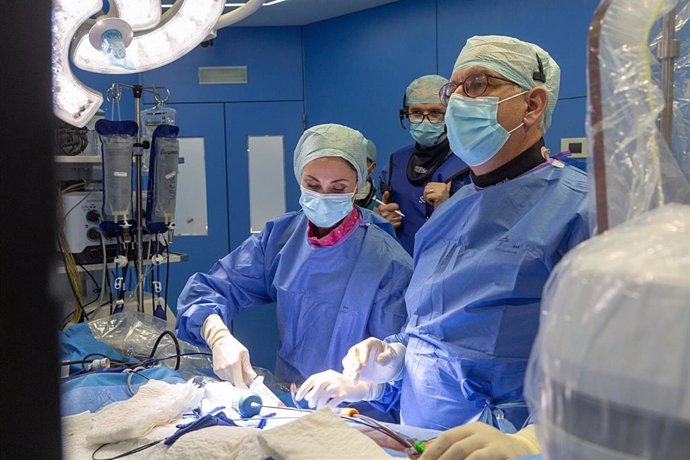 Imagen durante una intervención en el Laboratorio de Electrofisiología de la Clínica Universidad de Navarra.