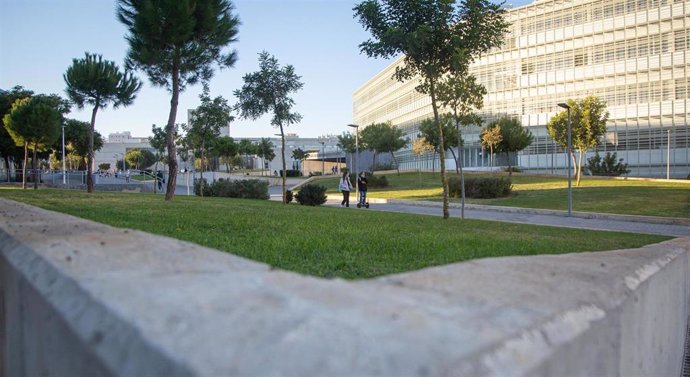 Archivo - Campus de El Carmen de la UHU.