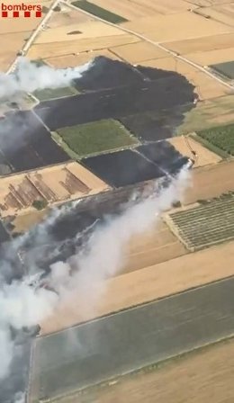 Zona afectada por el incendio