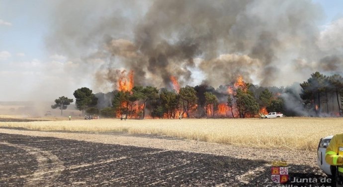 Declarado nivel 1 un fuego en Los Rábanos (Soria) en el que hay cerca de una veintena de medios desplegados