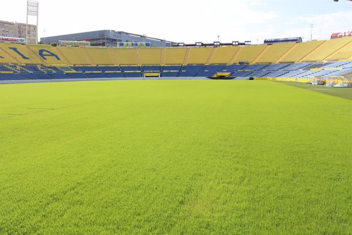 Archivo - El Cabildo renueva el césped del Estadio de Gran Canaria para la segunda parte de la temporada