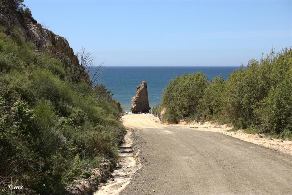 Parte del acceso a la playa de Torre del Loro, en la provincia de Huelva.