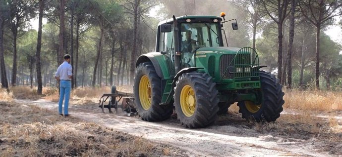 Trabajos de prevención de incendios forestales en en el paraje de El Porretal de Almonte (Huelva).