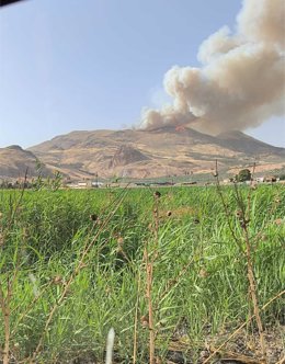 Incendio de Pinos Puente, en Granada.