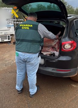 Imagen de la investigación desarrollada por la Guardia Civil