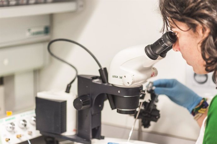 Laboratorio del sistema público andaluz.