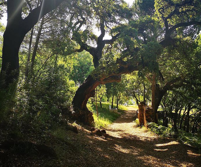 Sendero Arias Montano.