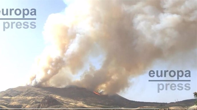 Incendio de Pinos Puente.