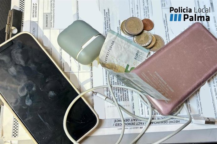 Enseres hallados en la bolsa presuntamente sustraída por el detenido