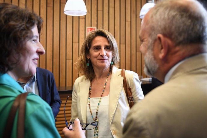 La vicepresidenta tercera del Gobierno y ministra para la Transición Ecológica y el Reto Demográfico de España, Teresa Ribera, en una imagen de archivo. 