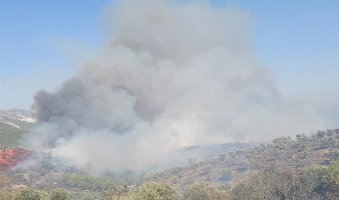 Imagen del incendio declarado este sábado en Víznar.