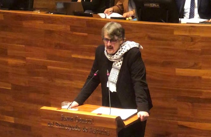 El diputado de IU-Convocatoria por Asturies, Xabel Vegas