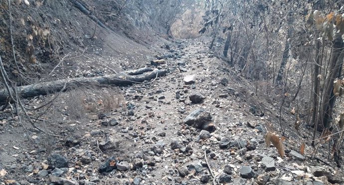 Archivo - Pista El Rayo, afectada por el incendio forestal en Tenerife