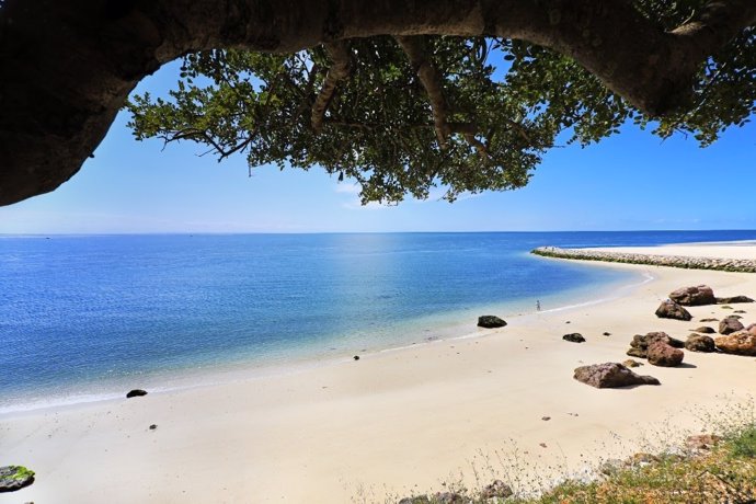 Setúbal: destino portugués destacado por sus playas, gastronomía, vinos y delfines