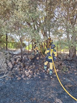 Efectivos del Ibanat