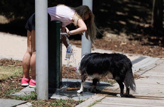 Archivo - Una mujer y un perro cogen agua en una fuente en el Parque del Manzanares, a 11 de julio de 2023.