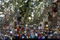 Más de 20.000 personas se manifiestan en Palma "hartas" de la masificación turística: "Queremos medidas concretas"