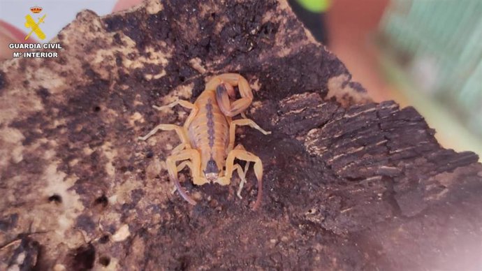 Vídeo de la noticia